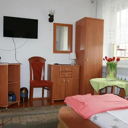 Pensjonat Radzik *