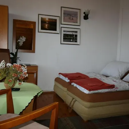 Pensjonat Radzik Panzió *